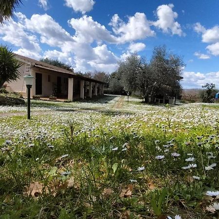 Agriturismo Bio Pian Dei Casali ซาตูร์เนีย ภายนอก รูปภาพ