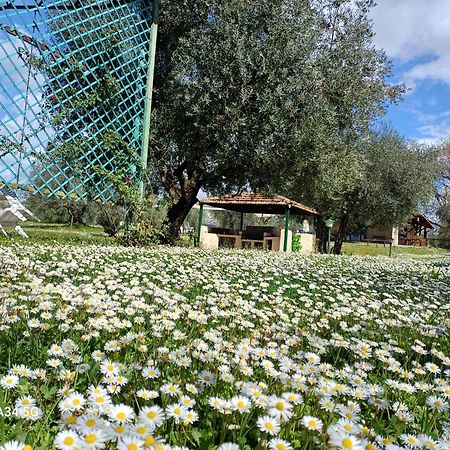 Agriturismo Bio Pian Dei Casali ซาตูร์เนีย ภายนอก รูปภาพ