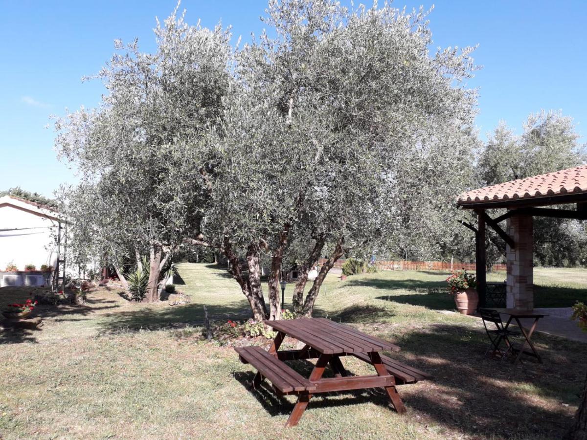 Agriturismo Bio Pian Dei Casali ซาตูร์เนีย ภายนอก รูปภาพ