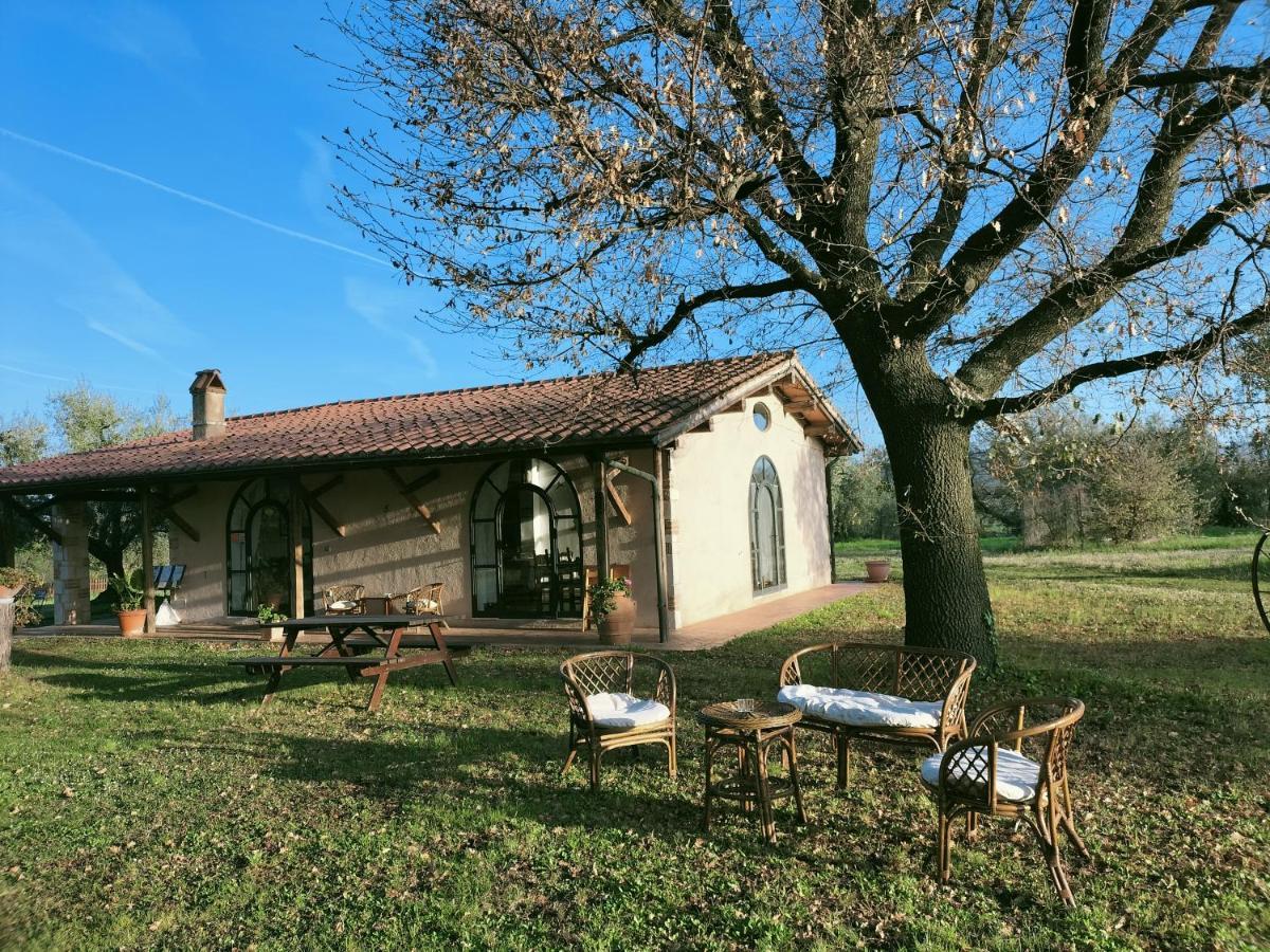 Agriturismo Bio Pian Dei Casali ซาตูร์เนีย ภายนอก รูปภาพ