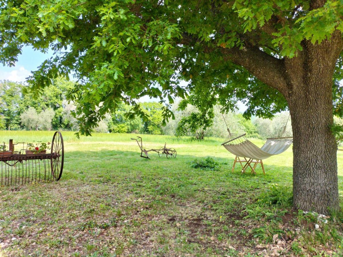 Agriturismo Bio Pian Dei Casali ซาตูร์เนีย ภายนอก รูปภาพ