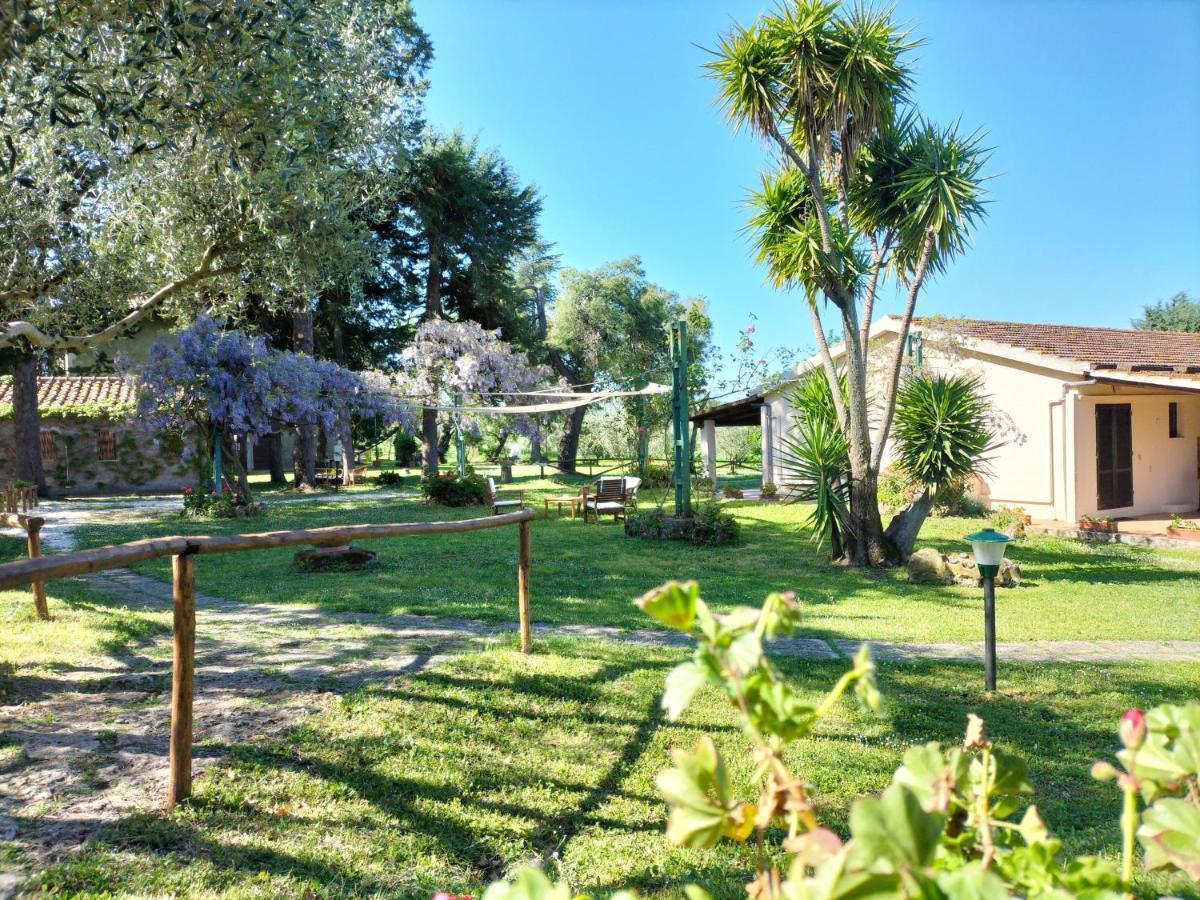 Agriturismo Bio Pian Dei Casali ซาตูร์เนีย ภายนอก รูปภาพ