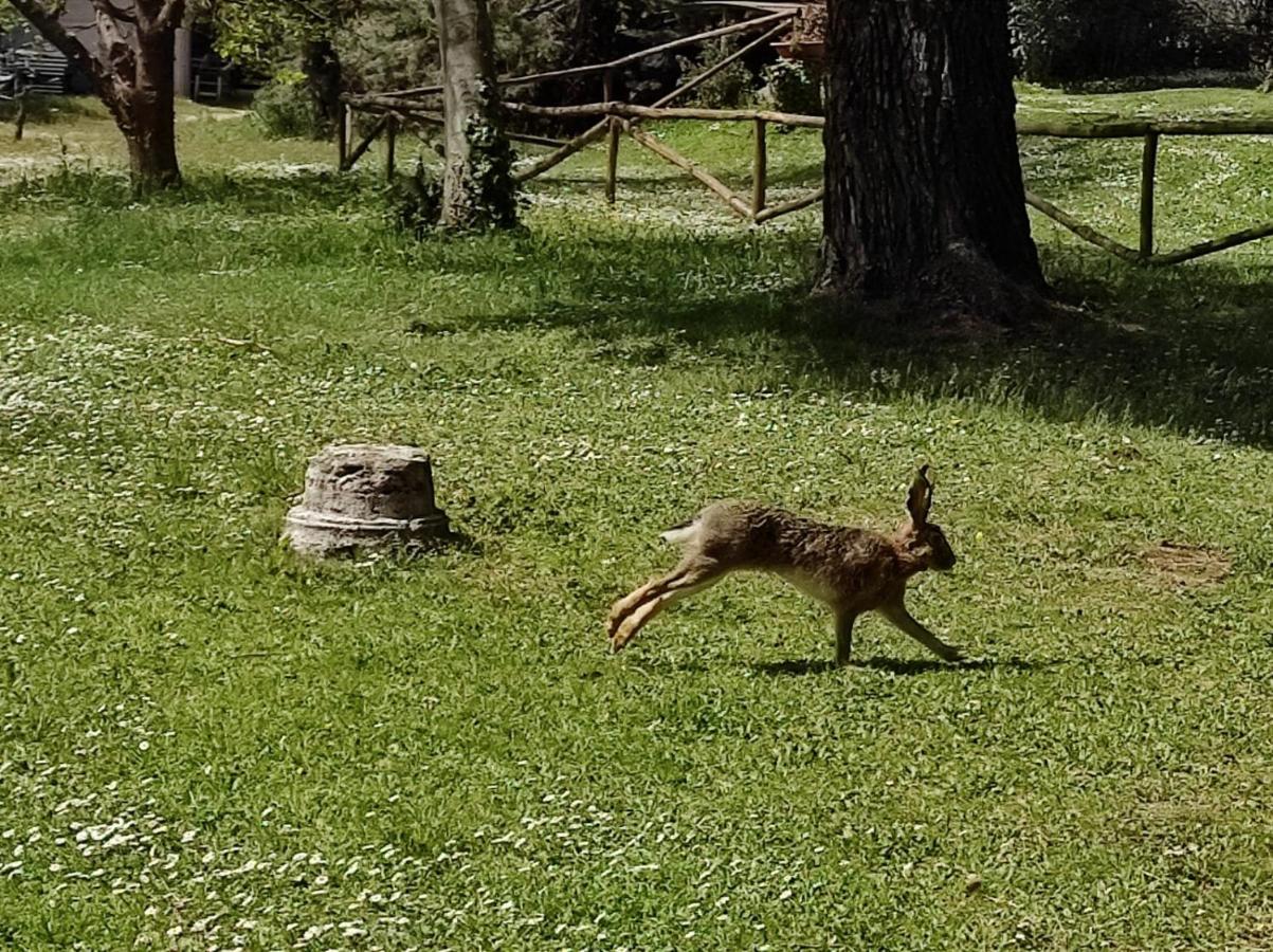 Agriturismo Bio Pian Dei Casali ซาตูร์เนีย ภายนอก รูปภาพ