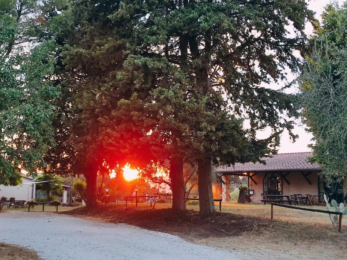 Agriturismo Bio Pian Dei Casali ซาตูร์เนีย ภายนอก รูปภาพ