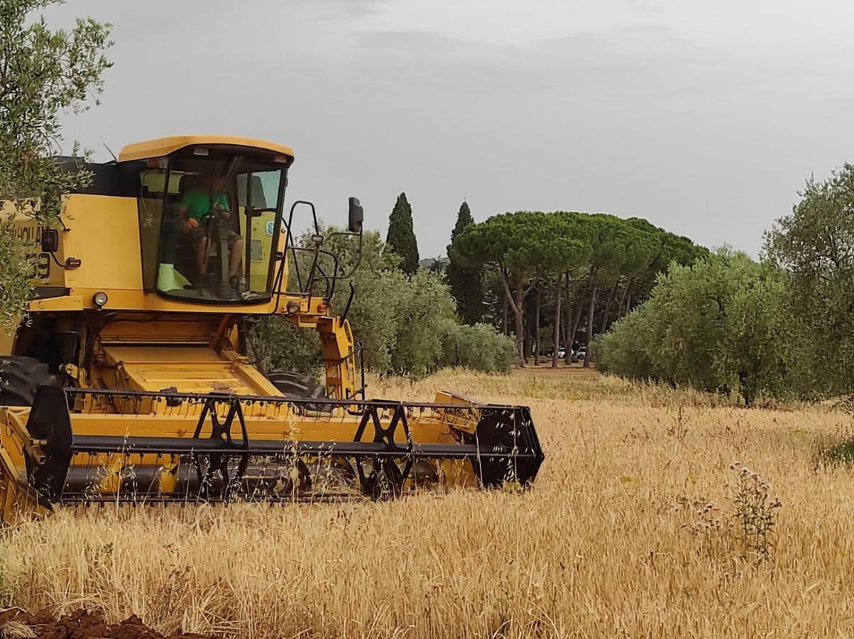 Agriturismo Bio Pian Dei Casali ซาตูร์เนีย ภายนอก รูปภาพ