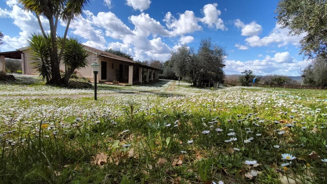 Agriturismo Bio Pian Dei Casali ซาตูร์เนีย ภายนอก รูปภาพ
