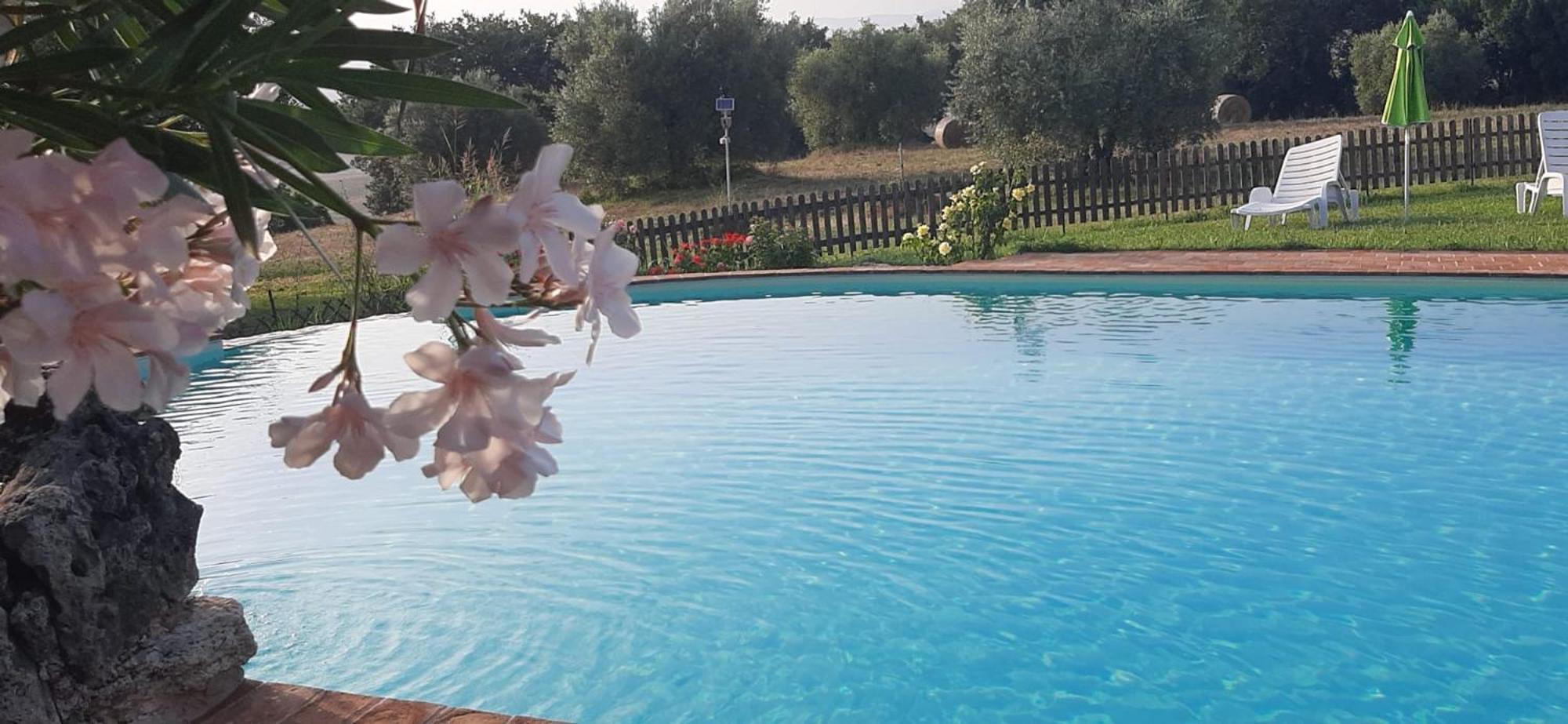 Agriturismo Bio Pian Dei Casali ซาตูร์เนีย ภายนอก รูปภาพ