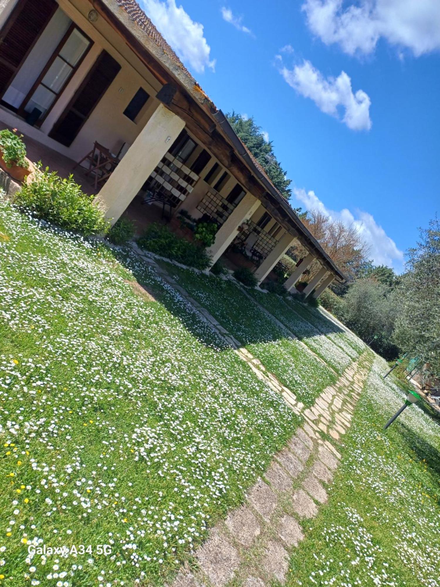 Agriturismo Bio Pian Dei Casali ซาตูร์เนีย ภายนอก รูปภาพ
