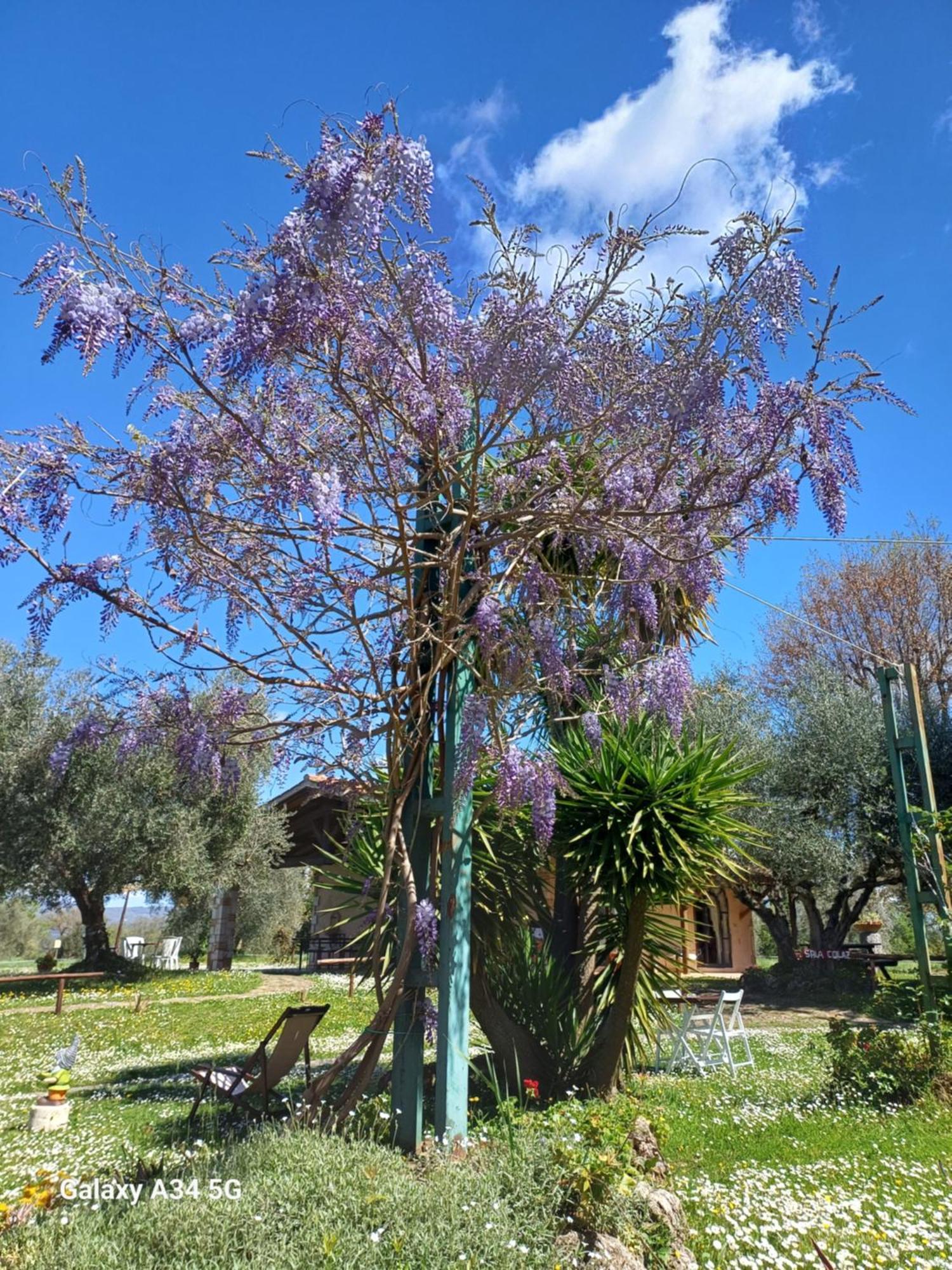 Agriturismo Bio Pian Dei Casali ซาตูร์เนีย ภายนอก รูปภาพ