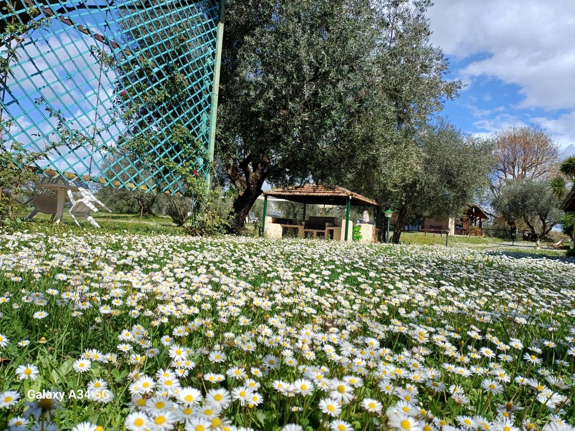 Agriturismo Bio Pian Dei Casali ซาตูร์เนีย ภายนอก รูปภาพ