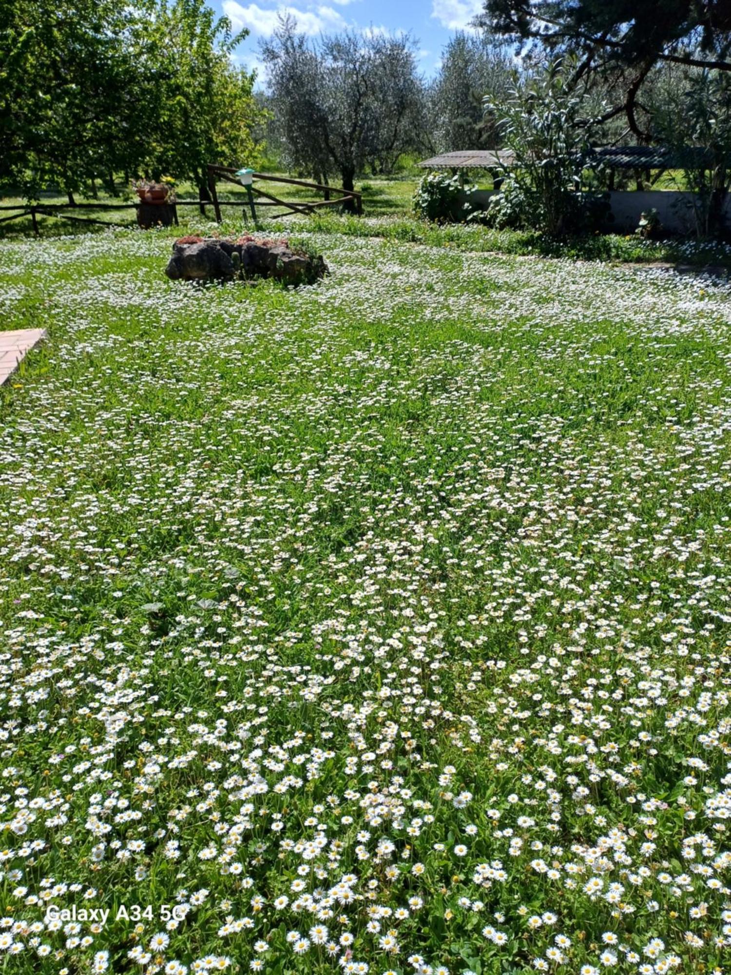 Agriturismo Bio Pian Dei Casali ซาตูร์เนีย ภายนอก รูปภาพ