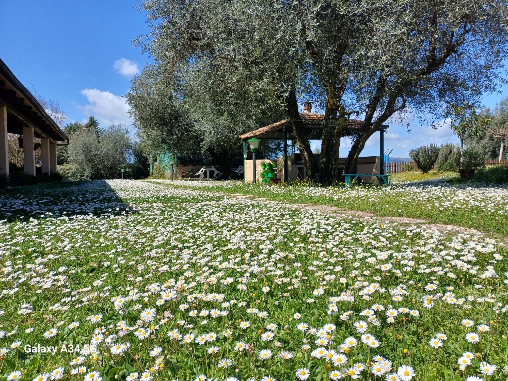 Agriturismo Bio Pian Dei Casali ซาตูร์เนีย ภายนอก รูปภาพ
