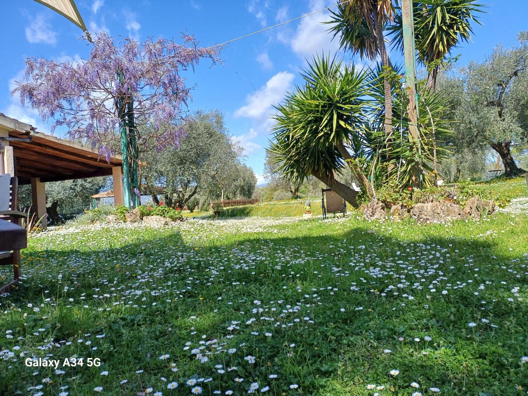 Agriturismo Bio Pian Dei Casali ซาตูร์เนีย ภายนอก รูปภาพ