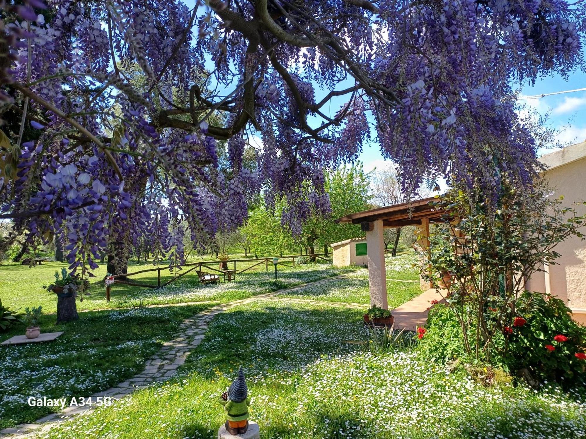 Agriturismo Bio Pian Dei Casali ซาตูร์เนีย ภายนอก รูปภาพ